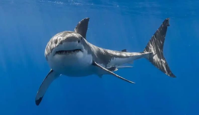 江苏艾乐米信息技术有限公司轮播图3