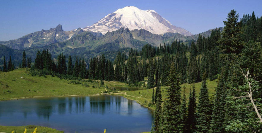 江苏艾乐米信息技术有限公司轮播图1